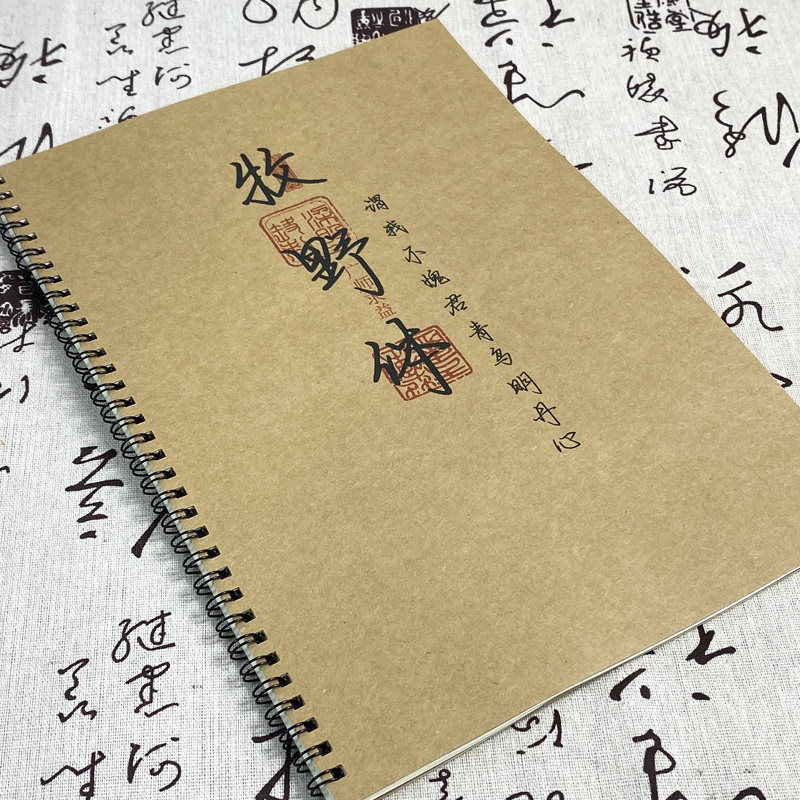 行楷笔锋语录文案练字帖