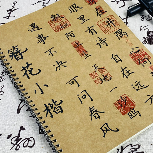 簪花金句文案小楷女生字帖