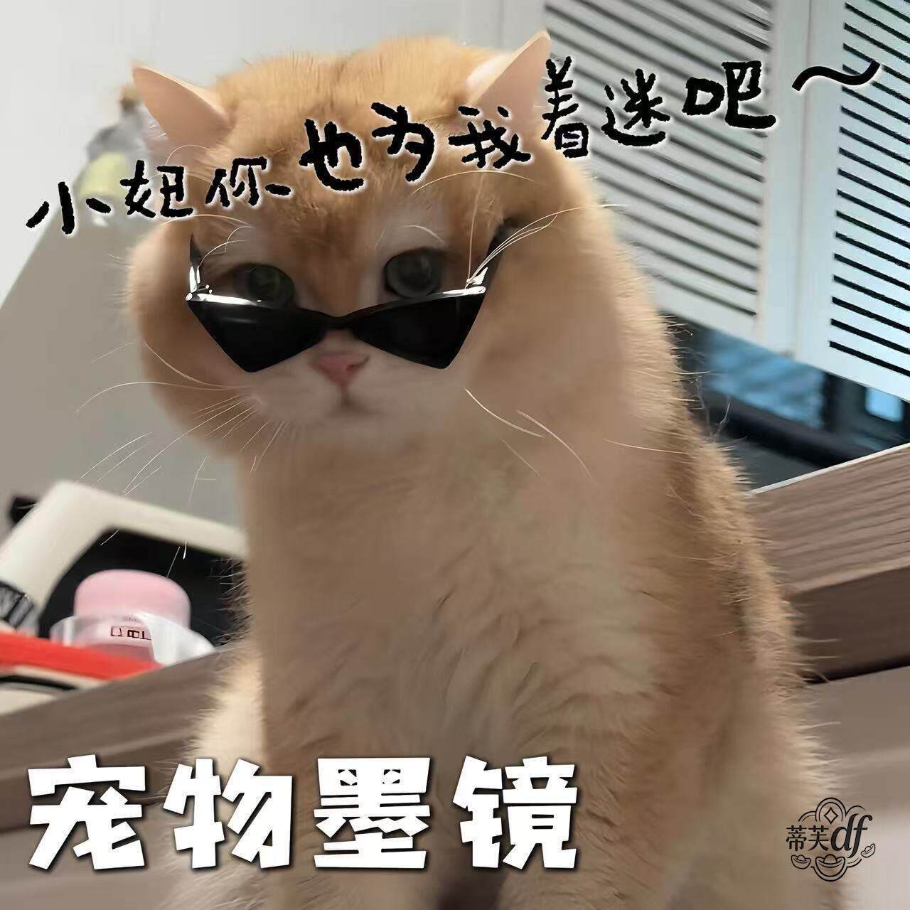 猫咪三角眼镜太阳眼镜宠物服装猫狗外出拍照道具耍帅装酷迷你小太