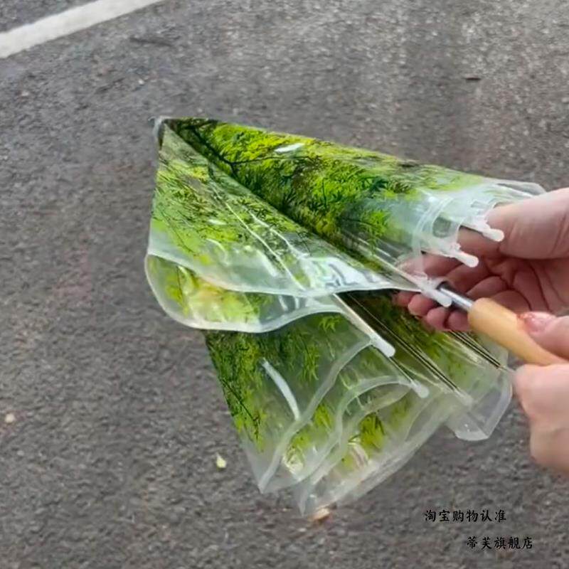 伞树叶透明长柄枫叶雨伞创意个性小清新拱形公主高颜值网红大号女