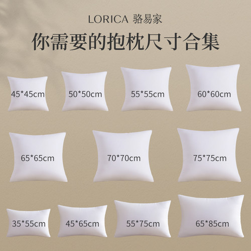 羽丝绒骆易家抱枕芯靠垫芯内胆