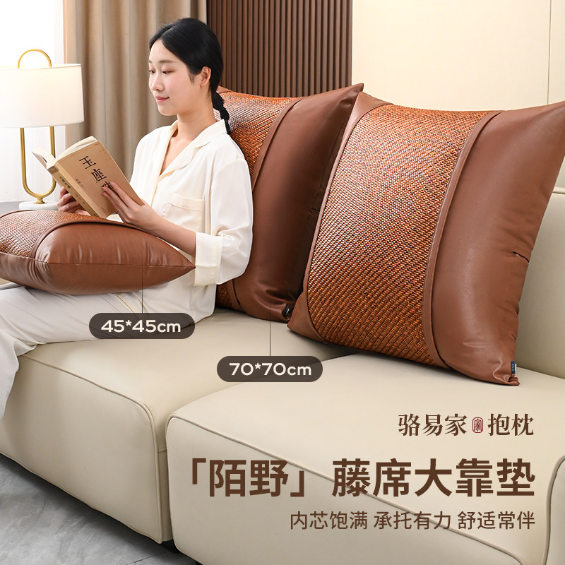 骆易家夏季凉感皮革沙发客厅抱枕轻奢高级感靠枕沙发靠垫2025新款