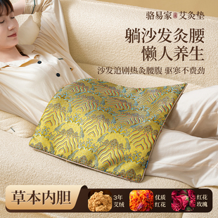 骆易家新款 女生专用艾灸垫电加热坐垫去湿气热敷助眠专用养生
