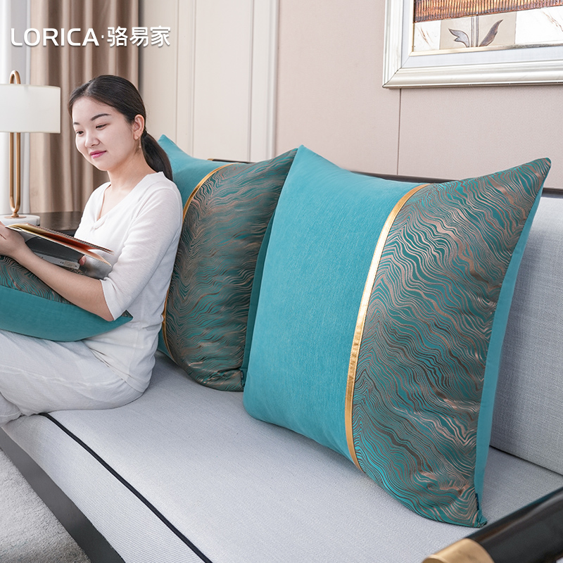 骆易家抱枕沙发客厅轻奢高级感靠背垫2025新款抱枕靠垫床上靠枕芯