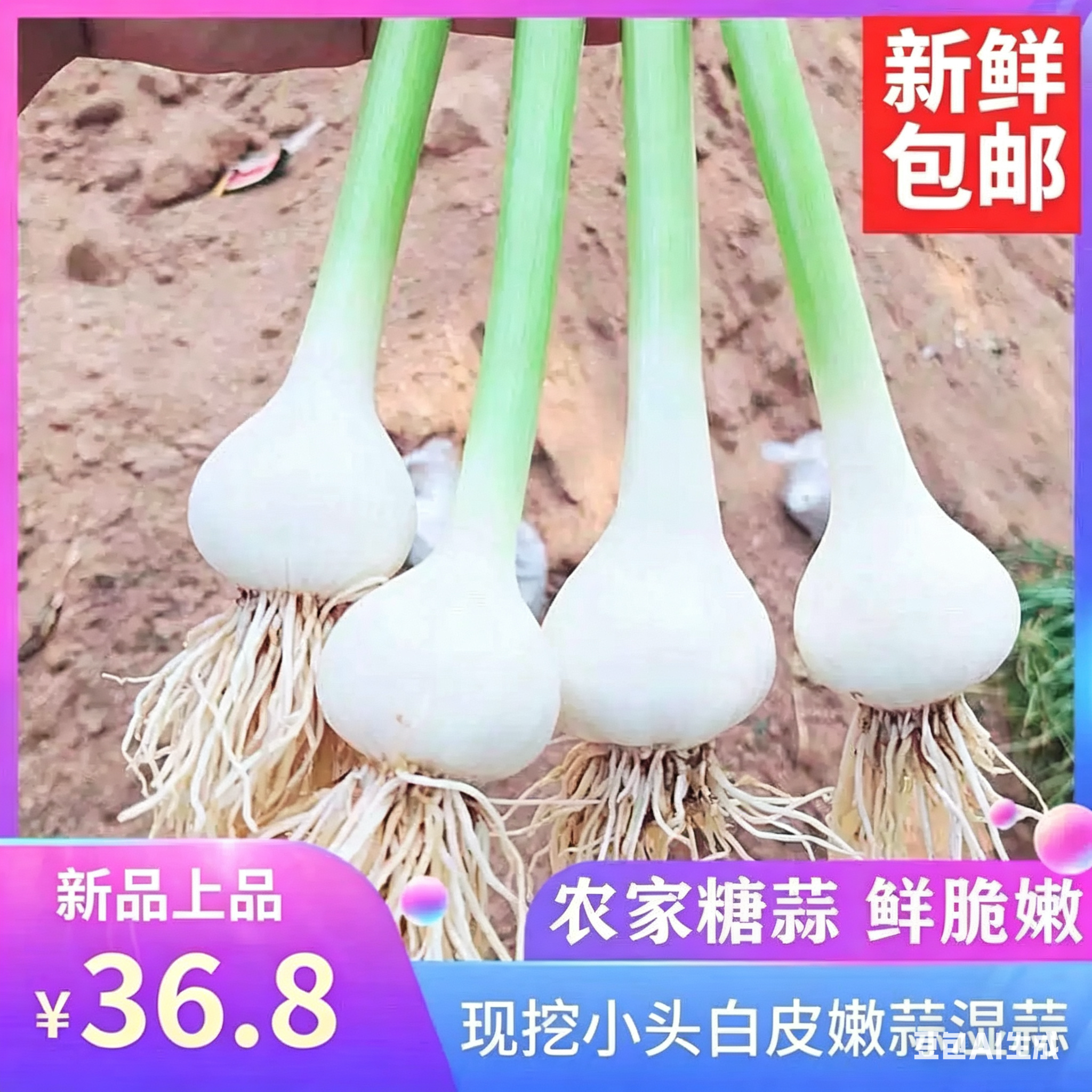 2026当季鲜蒜新鲜大蒜 马牙子蒜糖蒜湿蒜白皮鲜蒜山东蒜糖醋包邮