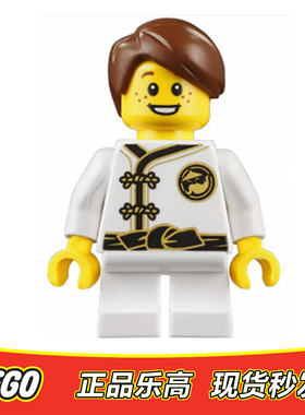 LEGO乐高 幻影忍者大电影人仔 尼尔森 njo438 正品特价 70657