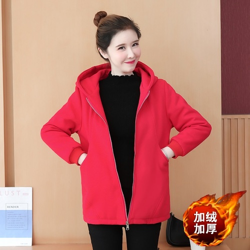 靓e纺 ZEF823 整款下架 靓e纺 ZEF823 整款下架