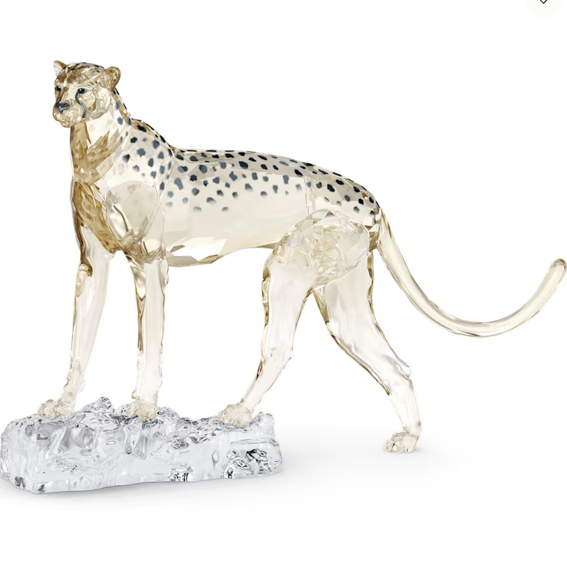 香港施华洛水晶 会员 SCS 2023水晶年集獵豹Mehira 5636241