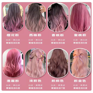 粉色系染发剂膏自己染樱花粉灰粉紫色香槟粉2024新款流行色粉棕色