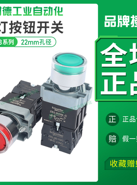 施耐德带灯按钮开关24v/220v金属自复位XB2BW33B1C自锁孔径22mm