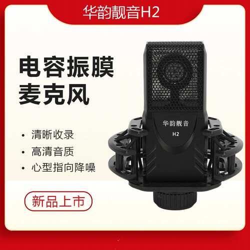 华韵靓音有录音专用心型指向