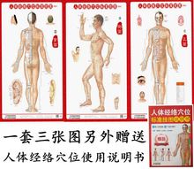 人体经络穴位标准挂图(套)(男性)(1套3张挂图)医学挂图用图 男性人体经络大挂图家用中医美体针灸艾灸养生保健穴位经络图