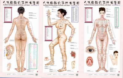 包邮人体经络穴位标准挂图（女性）（1套3张挂图）女性人体穴位经络大挂图中医美体针灸艾灸养生保健穴位图 经络家用图书籍