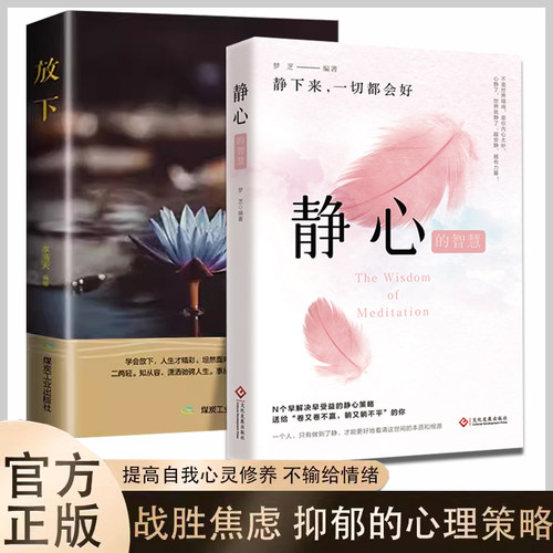 静心的智慧放下等人生哲理书