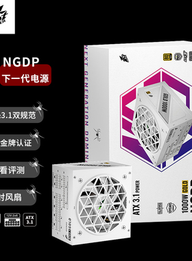 首席玩家NGDP金牌白色1000W电源ATX3.0&3.1台式机箱电脑5090显卡