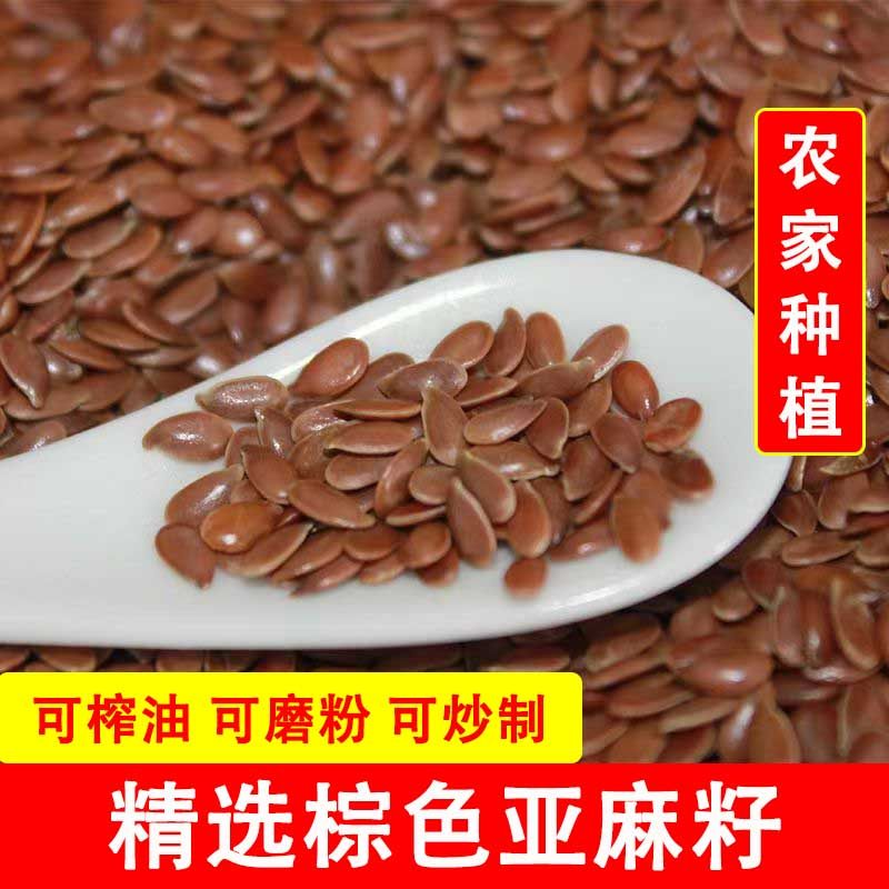 甘肃山区亚麻籽亚麻籽炒熟的亚麻籽五谷杂粮原材料烘焙原料