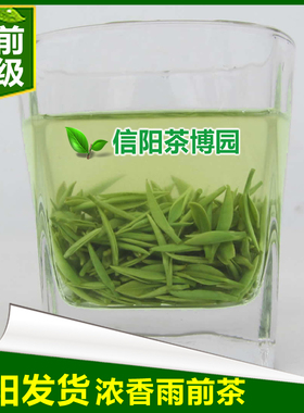 信阳茶博园信阳毛尖2025新茶雨前茶特级嫩芽散装茶叶绿茶春茶500g