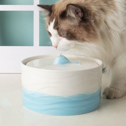新款鲸鱼猫咪饮水机陶瓷自动循环宠物流动猫碗水泵喝狗饮水器水碗