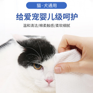 3包宠物清洁湿巾猫咪狗狗去泪痕湿纸巾2MugXKP 新人立减5元