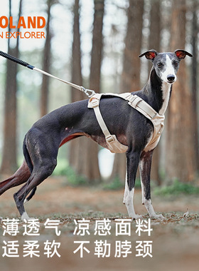 ZOOLAND狗狗胸背牵引绳遛幼小中大型犬泰迪柯基比熊边牧博美链子