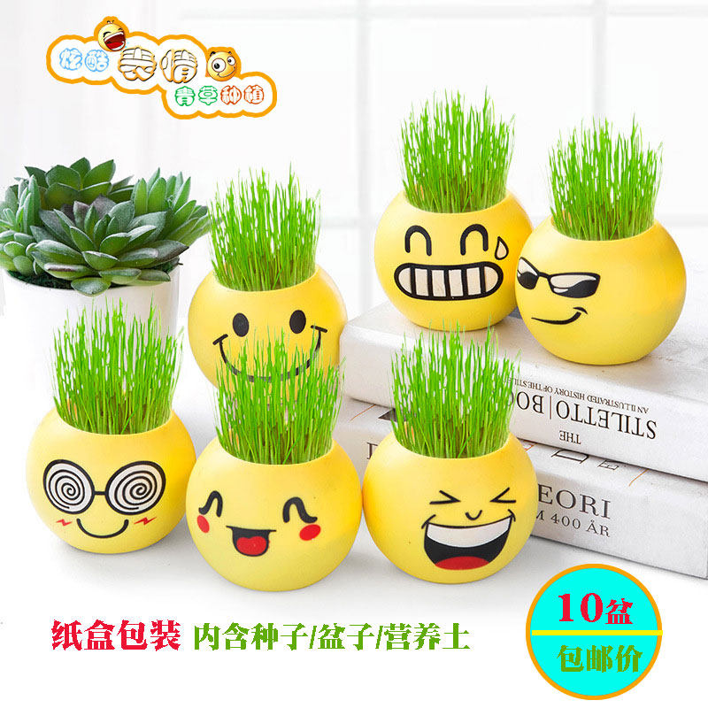 创意迷你植物盆栽桌面绿植表情青草种植儿童幼儿园小学生奖励礼品