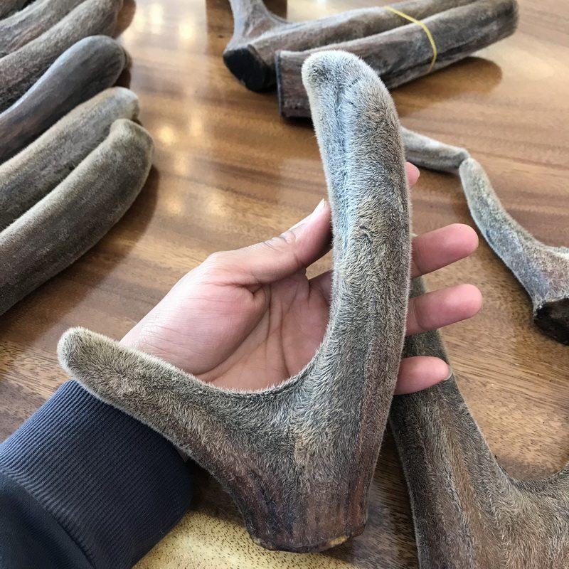 一物一图梅花鹿整枝鹿茸二杠送礼自用泡酒煲汤磨粉东北滋补包邮