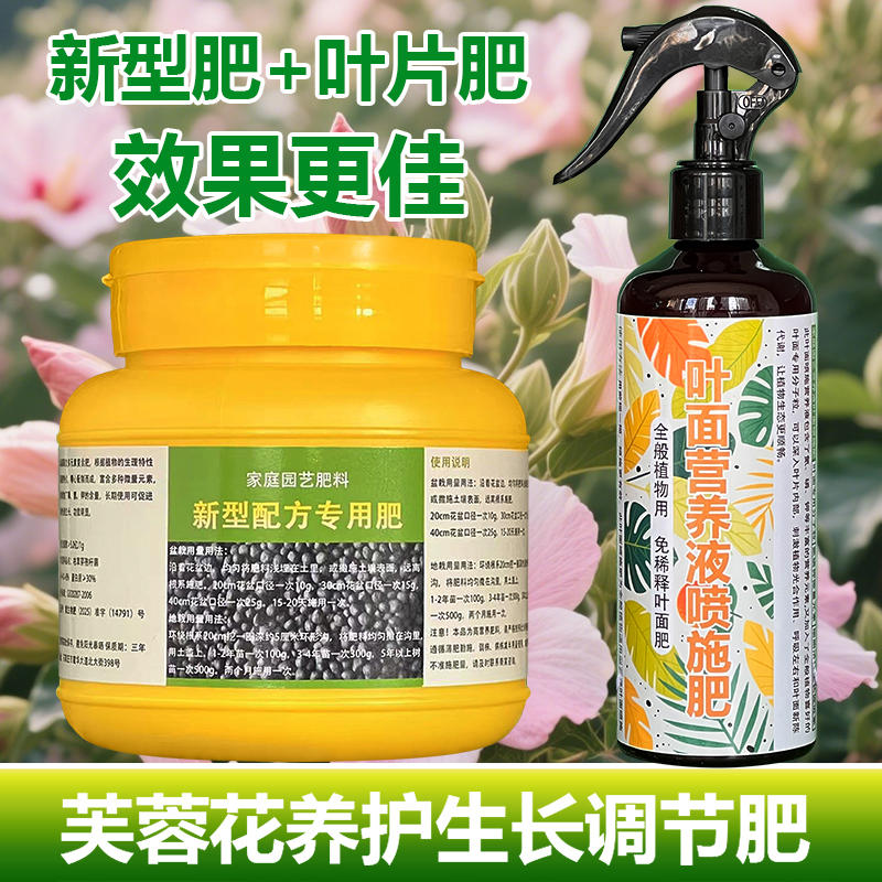 芙蓉花专用肥料盆栽树苗营养液叶子卷曲发黄发蔫边缘枯萎叶面肥料