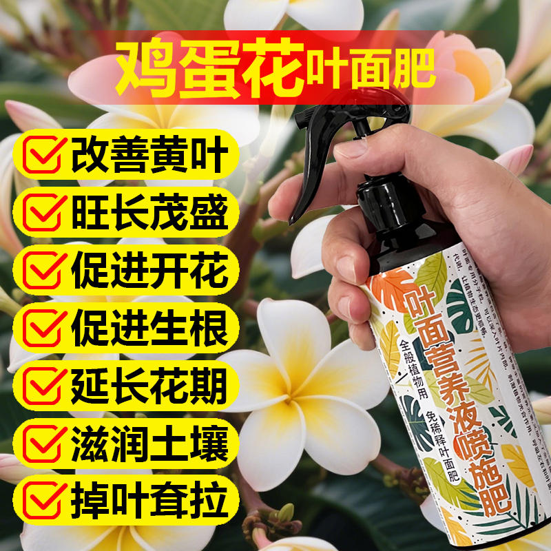 鸡蛋花专用肥料养殖盆栽鸡蛋花树苗专用土营养液叶面肥水溶化肥料
