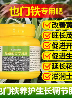 也门铁巴西铁专用营养液室内金心青叶金边盆栽绿植螺纹铁叶面肥料