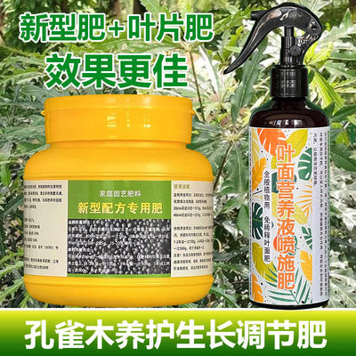 孔雀木专用肥料花盆栽养殖绿植小苗孔雀木树专用土营养液叶面肥料