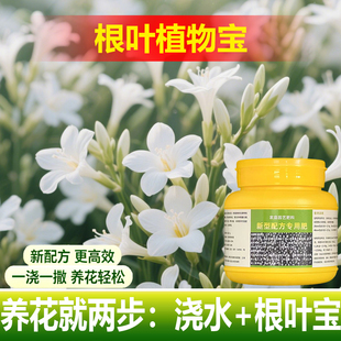 植物专用肥料七叶莲营养液叶子枯黄叶斑发黑打蔫耷拉掉叶面肥料