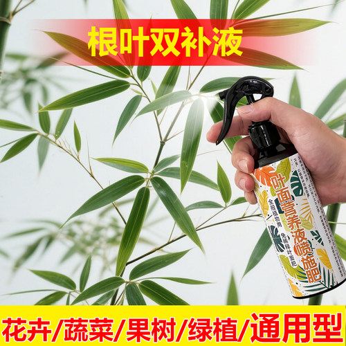 植物专用肥料巴西铁金边养殖花盆栽营养液绿植养护喷剂叶面肥料