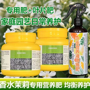 香水茉莉专用肥料花肥爬藤盆栽茉莉花苗专用土水培营养液叶面肥料