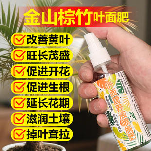 金山棕竹棕榈竹专用浓缩营养液家用花盆栽绿植物专用土黄叶面肥料