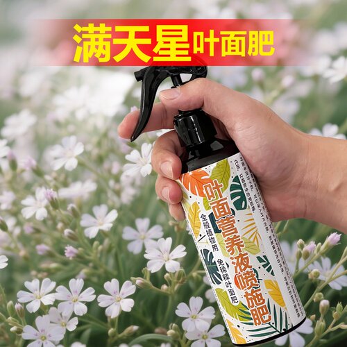 满天星专用肥料盆栽满天星专用土满天星专用营养液叶面肥颗粒肥料