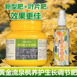 流泉枫树专用肥料盆栽小苗黄金枫树苗营养液花园家庭庭院种植肥料
