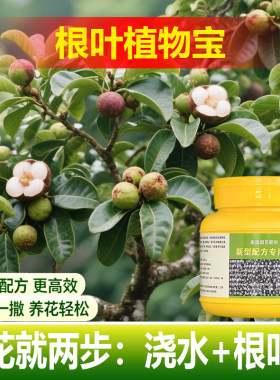 植物专用肥料促分枝发侧芽营养液黑金刚橡皮树盆栽长新叶喷施肥
