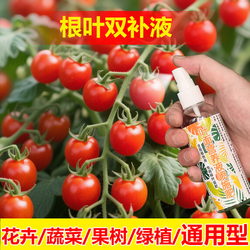 植物专用肥料杨桃果树营养液开花保花保果结果挫果增产增收肥料