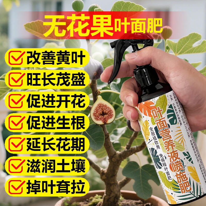 无花果专用肥料种植无花果树苗营养液叶面肥发黄锈斑枯萎卷曲肥料