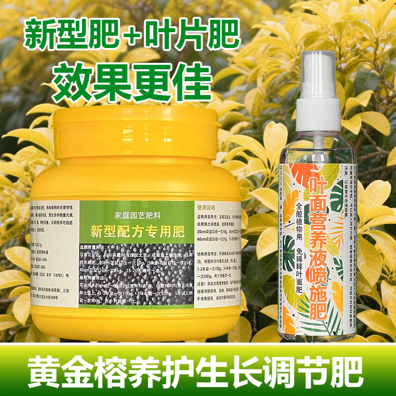黄金榕专用肥料老桩盆栽绿植黄金榕树苗橡皮树营养液室内花卉肥料