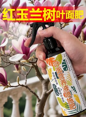 红玉兰树专用肥料树苗盆栽花卉大树营养液紫玉兰花有机肥土壤肥料