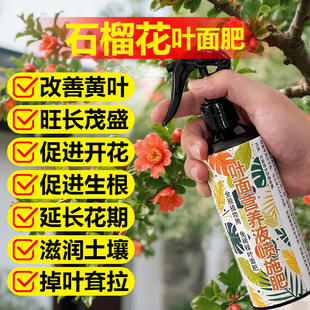 石榴树专用肥料庭院大树花盆栽种树苗老桩盆景喷剂营养液叶面肥料