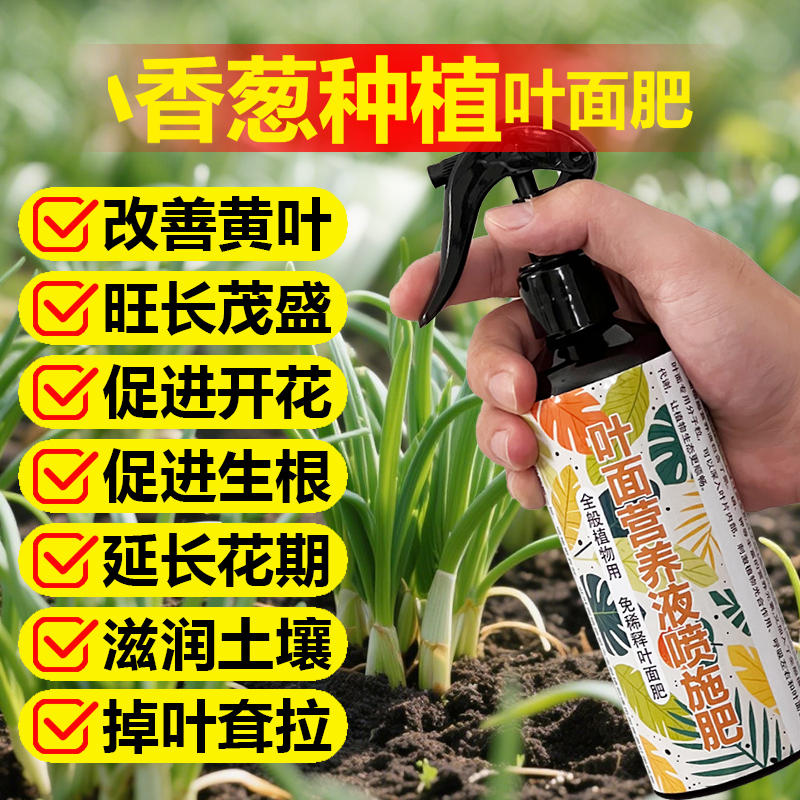 小香葱种植专用肥料水培土培小苗发芽营养液葱姜蒜翠绿有机肥肥料