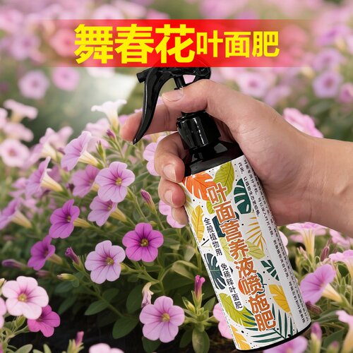 舞春花专用肥料百万小玲营养液小苗旺长爆盆茂盛花苞开花叶面肥料