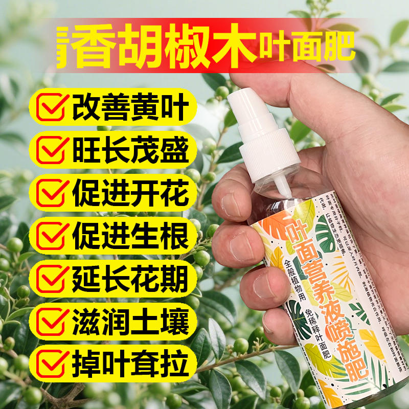 清香胡椒木树苗专用肥料盆景盆栽叶子下垂黄掉叶营养液叶面肥肥料