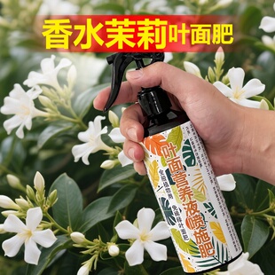 香水茉莉专用肥料养殖花树苗爬藤植物盆栽茉莉花苗营养液叶面肥料