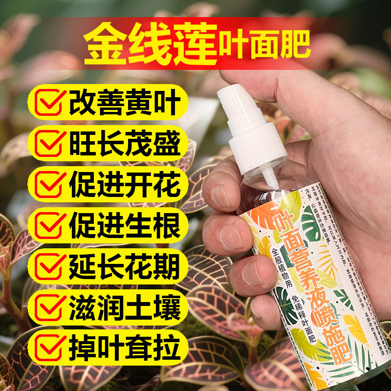 金线莲专用肥料种植苗花盆栽专用土养殖营养液水溶化肥料叶面肥料