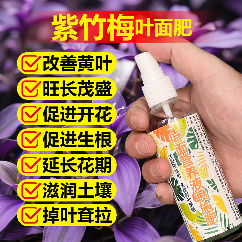 紫竹梅专用肥料小苗盆栽绿植水培土培紫竹梅吊兰营养液水溶化肥料