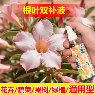 植物专用肥料养殖绿植花盆栽夏威夷竹专用土养护营养液叶面肥料