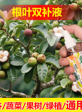 植物专用肥料促分枝发侧芽营养液黑金刚橡皮树盆栽长新叶喷施肥
